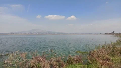 Zumpango lagoon, water moving by the wind with vegetation on the shore, the t Stock Footage 156872265