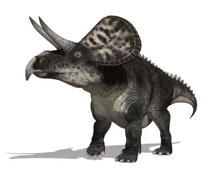 Zuniceratops Dinosaur Stock Illustration