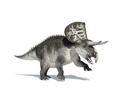 Zuniceratops on white background Stock Illustration