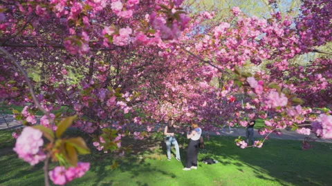 ZV 20240416_8870 Stock-Footage 306104861