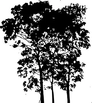 Zxz3 Ilustração Stock