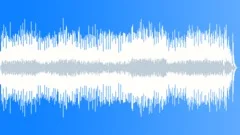 Zydeco City (rockin accordion groove) energetic sports action rockStock Music
