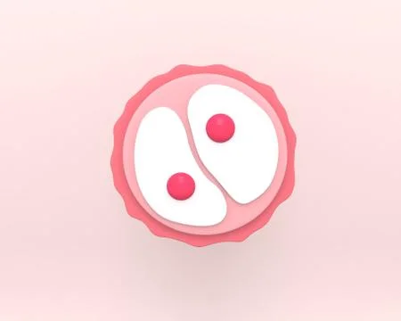 Zygote 2-cell stage Illustrazione stock