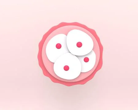 Zygote 4-cell stage Stock Illustration
